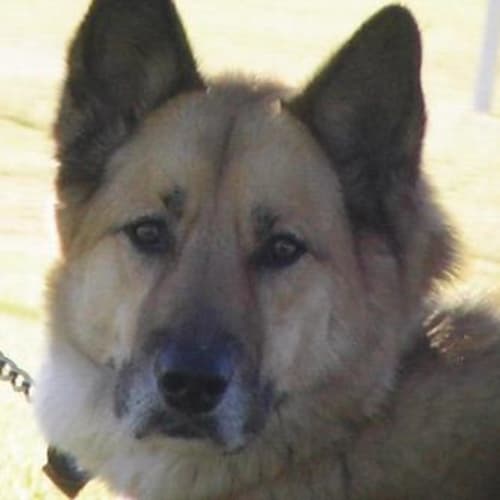 No photo for Hendrix