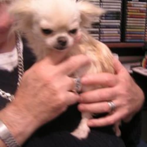 No photo for Princess