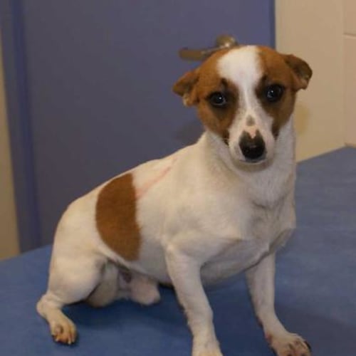 No photo for Keytama