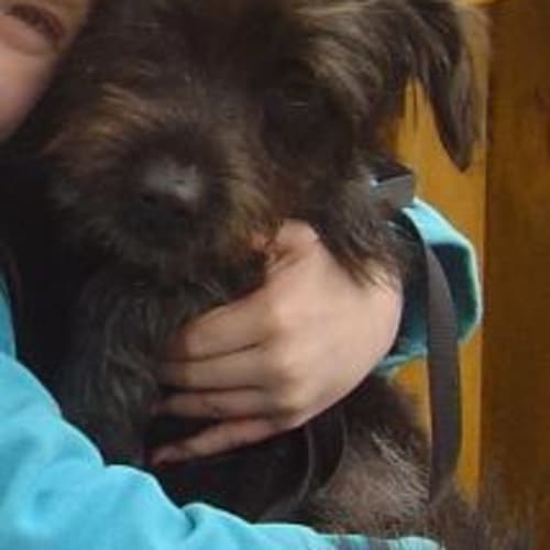 No photo for Charlie