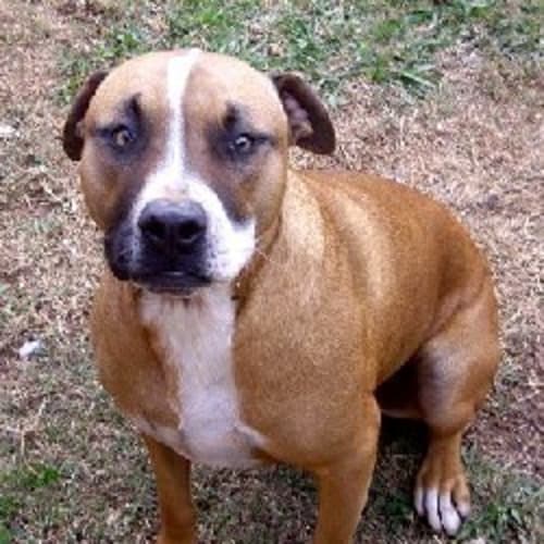 No photo for Zena   On Trial