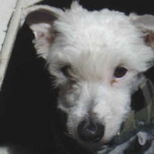 No photo for Tracey & Grimshaw