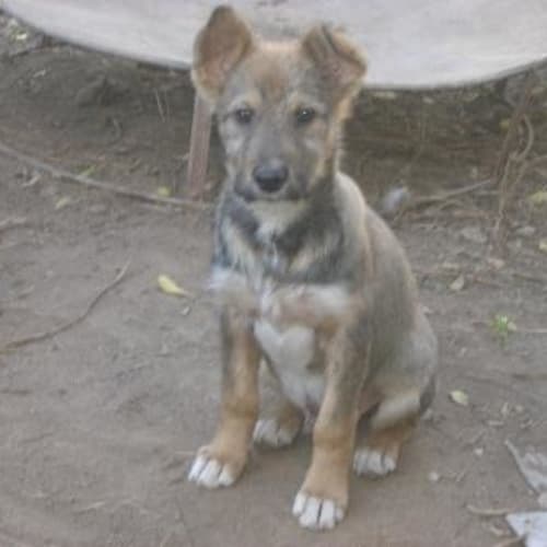 Harrington Is On Hold