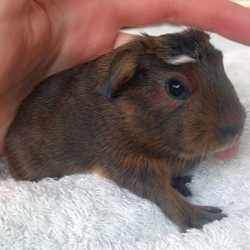 No photo for Elanour