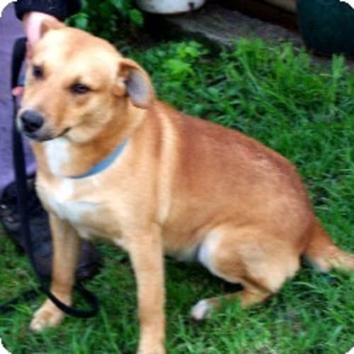 No photo for Freddy   On Trial