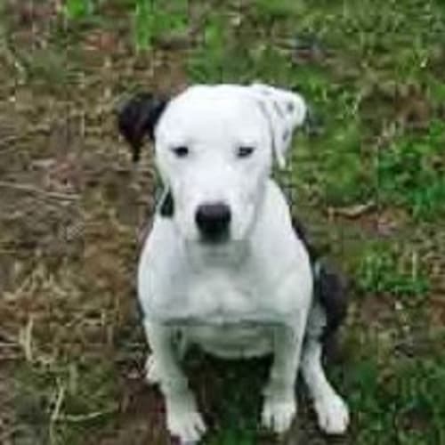 No photo for Tia   On Trial