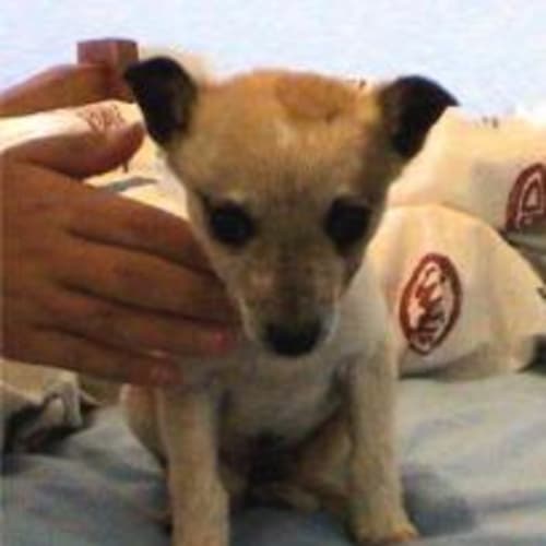 No photo for Catelina