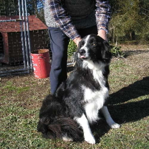 No photo for Micheal