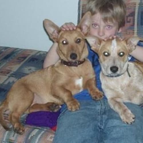 No photo for Rosie And Rupert