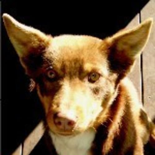 No photo for Astro Boy