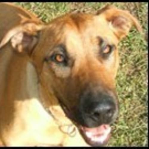 No photo for Bridget