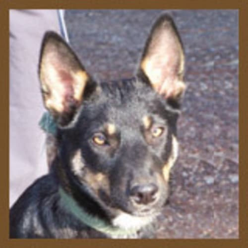 No photo for Paulini