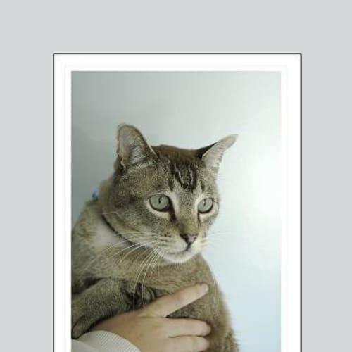 No photo for Bruce