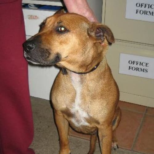 No photo for Indiana