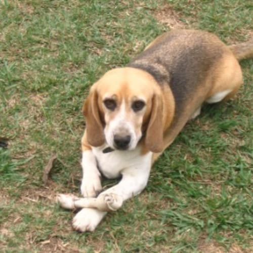 No photo for Dori   On Trial