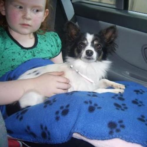 No photo for Miss Polly