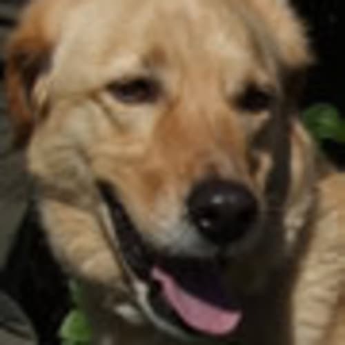 No photo for Redcliffe