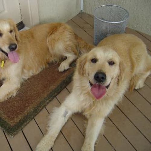 No photo for Emma And Sasha