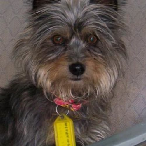 No photo for Jack & Jeda