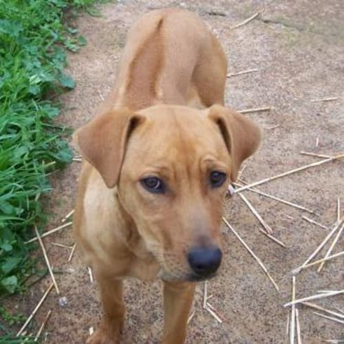 No photo for Pretzel On Hold