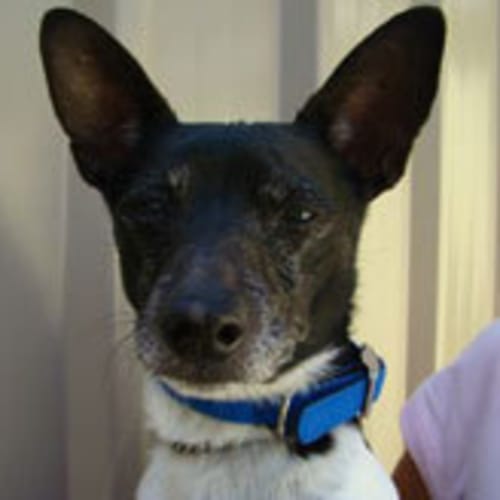 No photo for Jack Nicholson