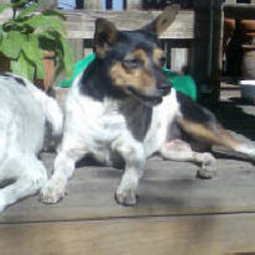 No photo for Bella And Stella