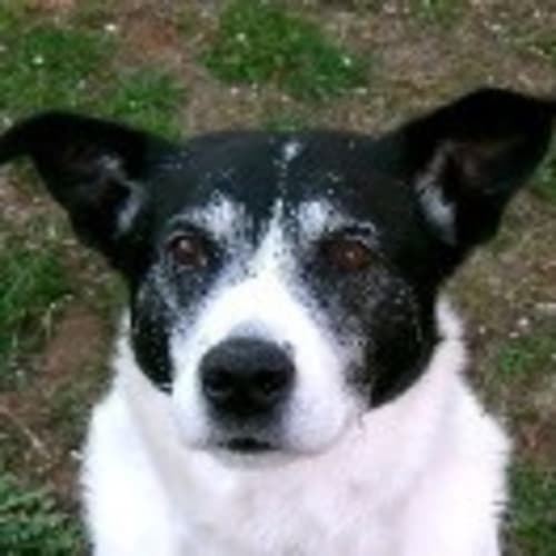 No photo for Patterson