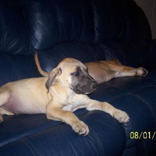 No photo for Sevrus Is On Hold