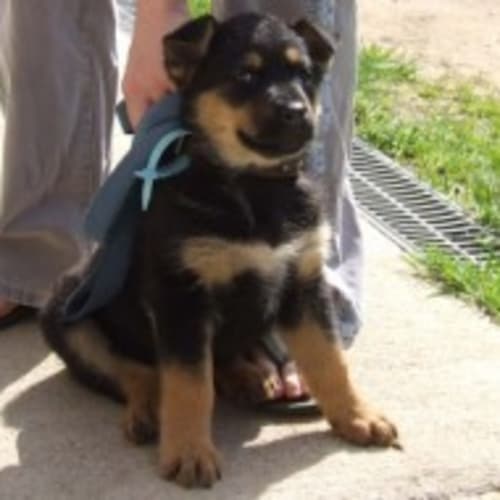 No photo for Morgan On Hold