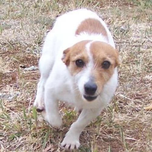 No photo for Skye On Trial