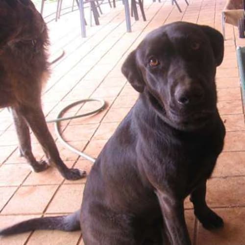 No photo for Lucinda