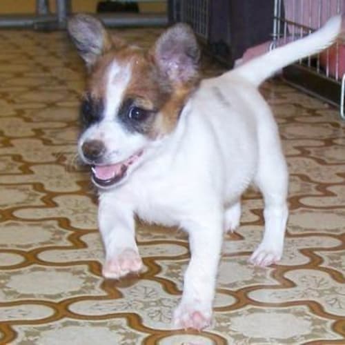 No photo for Daneaka