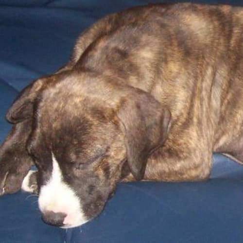 No photo for Madison