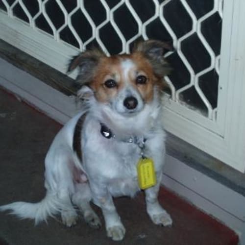 No photo for Phoebe   On Trial