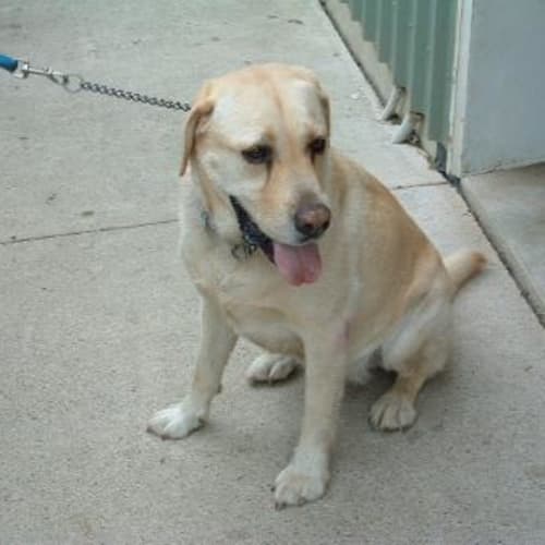 No photo for Jackson