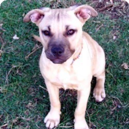 No photo for Kiara   On Trial