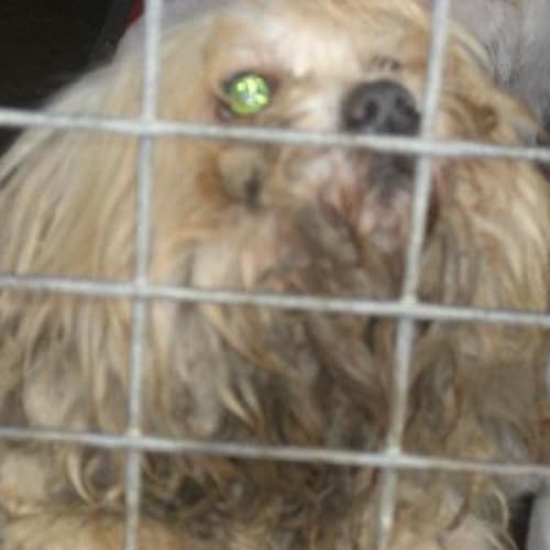 Stevie Wonder Is On Hold