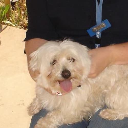 No photo for Marianne