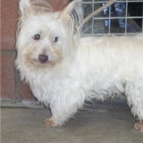 No photo for Winston