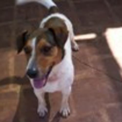 No photo for Starsky