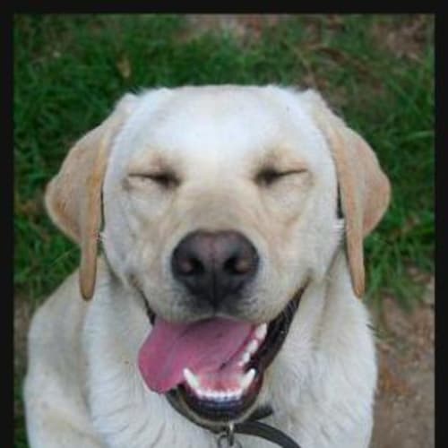 No photo for Harrison