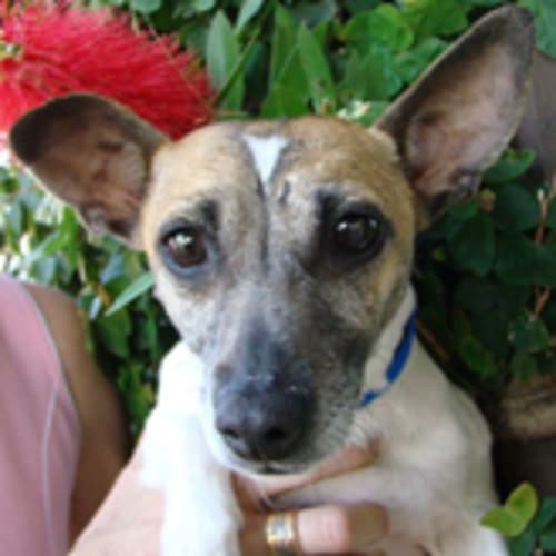 No photo for Naomi Watts