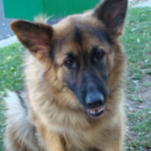 No photo for Cherish