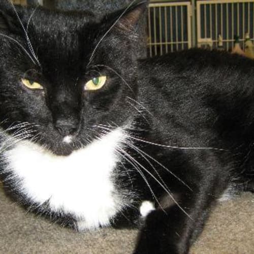 No photo for Mia (Mere Male)