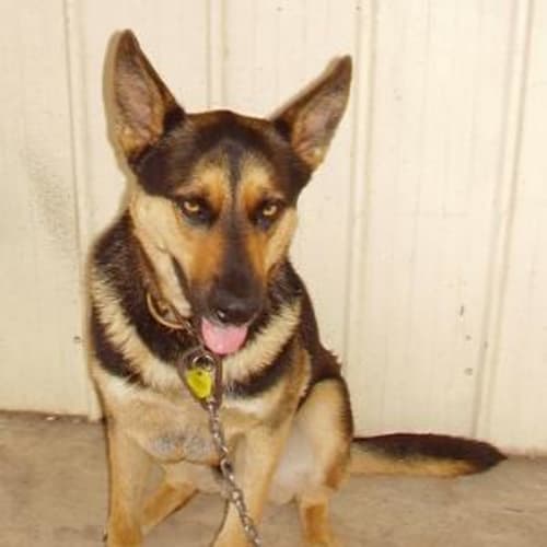 No photo for Kaiser