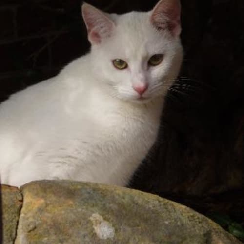 No photo for Alabama