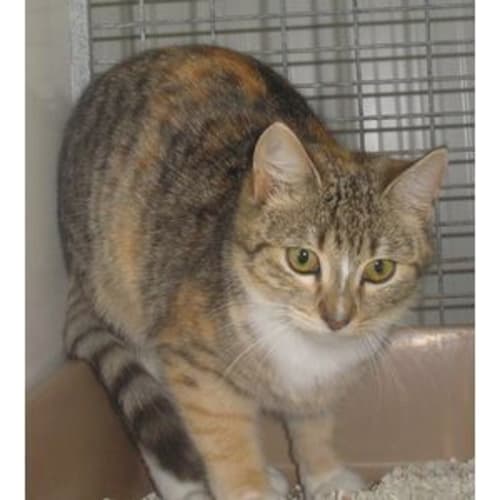 No photo for Matilda