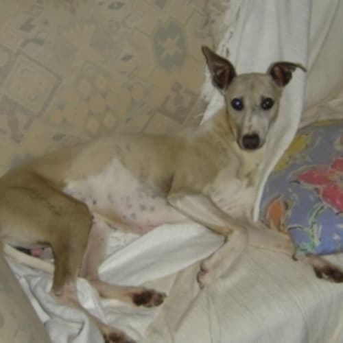 No photo for Ulysses