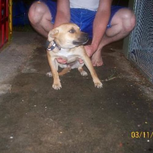 No photo for Delilah