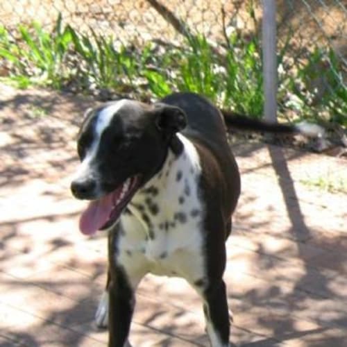 No photo for Jackson